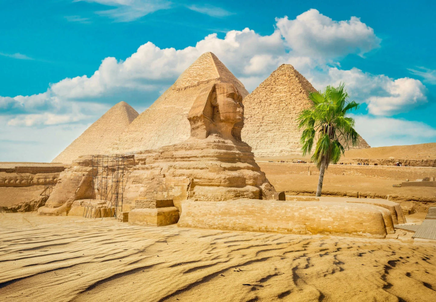 The Collective Tour | Mohamed Ali Citadel, Pyramids of Giza, Coptic Cairo