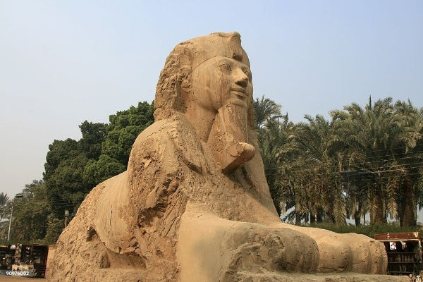 Memphis Day Tour | Memphis, Saqqara and Egyptian Museum